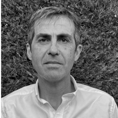 Director Académico